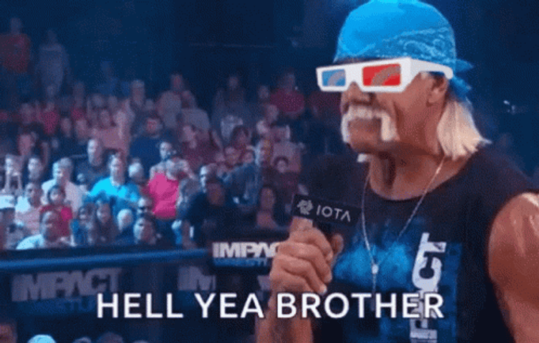 Hulk Hogan Hell Ya Brother Meme GIF