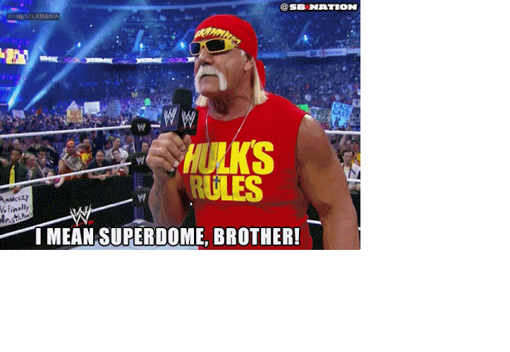 Hulk Hogan I Mean Superdome Brother GIF