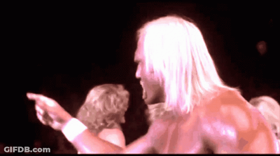 Hulk Hogan I Must Break You GIF