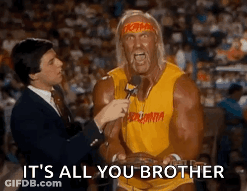 Hulk Hogan Is Being Interviewed By A Reporter In Front Of A Crowd And Says It 'S All You Brother . GIF