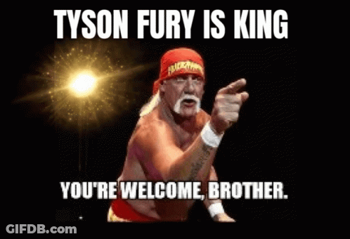 Hulk Hogan Is Pointing At The Camera With A Caption That Says Tyson Fury Is King You 'Re Welcome Brother . GIF