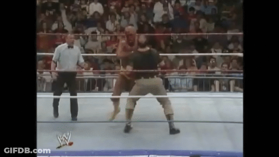 Hulk Hogan Jumps On The Man GIF