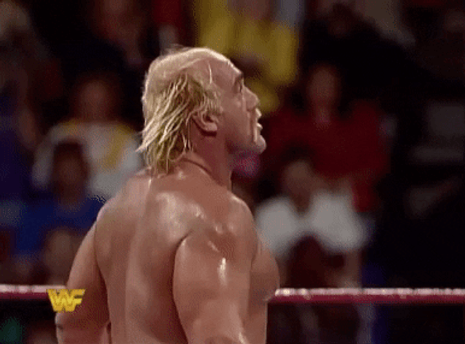 Hulk Hogan Looking Up Around GIF
