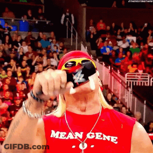 Hulk Hogan Mic Drop Meme GIF