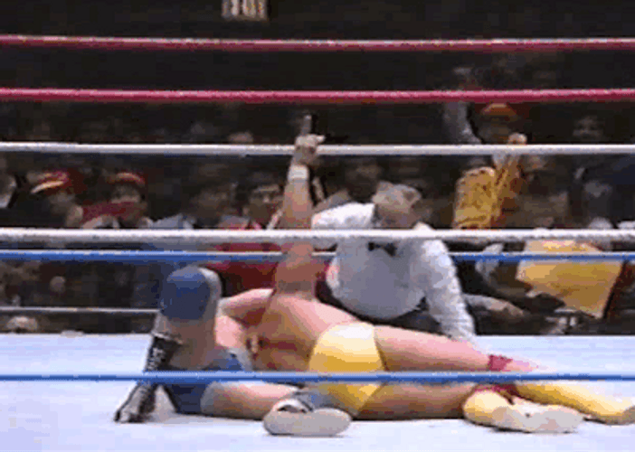 Hulk Hogan Pointing Up GIF