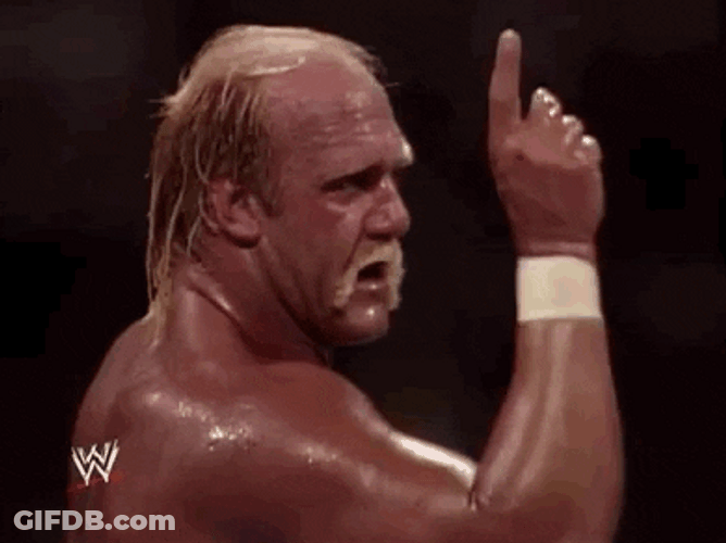 Hulk Hogan Pointing While Speaking GIF