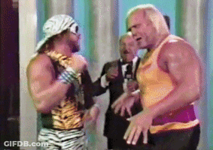 Hulk Hogan Randy Savage Hand Shake GIF
