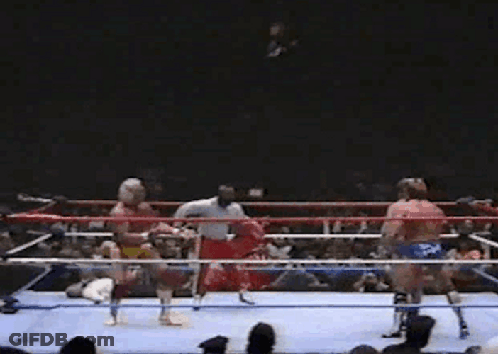 Hulk Hogan Rumble Fight GIF