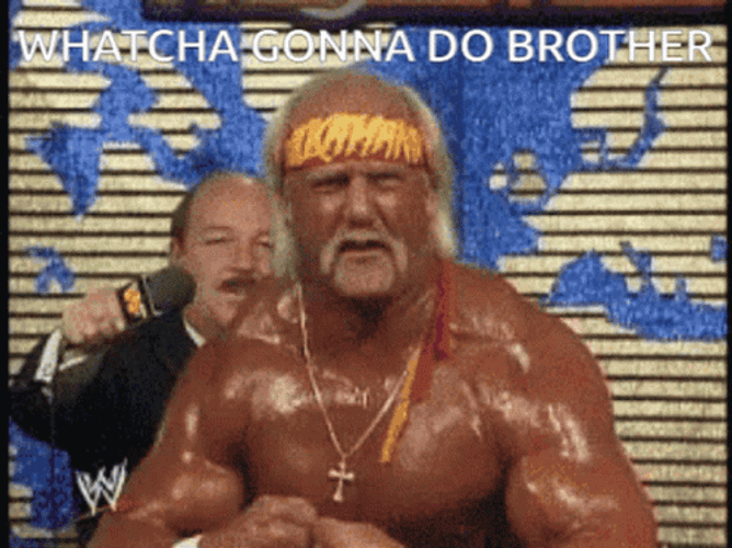 Hulk Hogan Watcha Gonna Do Brother GIF