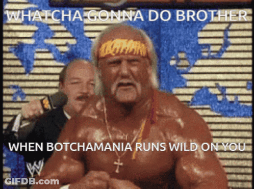 Hulk Hogan Whatcha Gonna Do Brother GIF