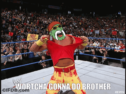 Hulk Hogan Wrestling Ring Wortcha Gonna Do Brother GIF