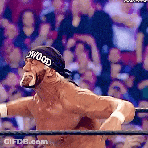 Hulk Hogan Wrestling With Hollywood Headband GIF
