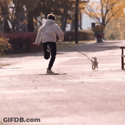 Human After His Dog Running GIF