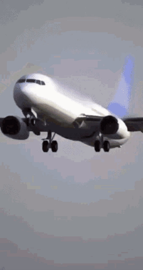 Human Airplane Landing GIF