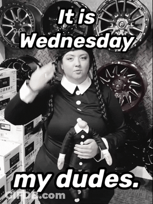 Human Barbie Its Wednesday My Dudes GIF