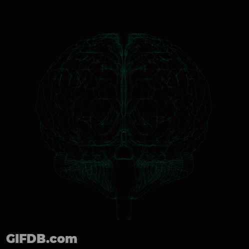 Human Brain With Green Lines On Black Background GIF