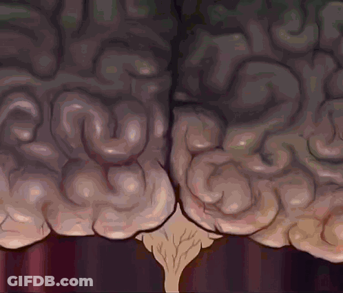 Human Brain With Swirling Pattern GIF