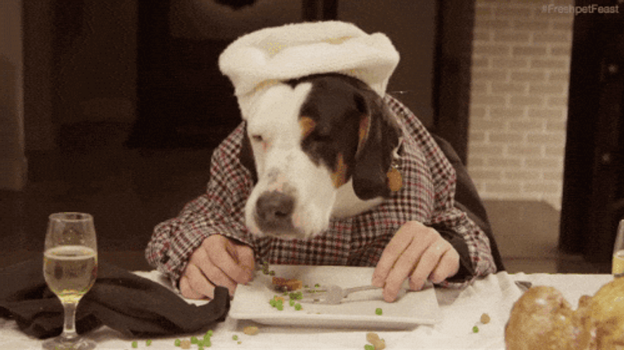 Human Dog With Butter GIF