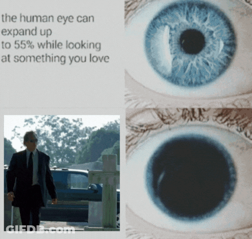 Human Eye Expands When Seeing Loved One GIF