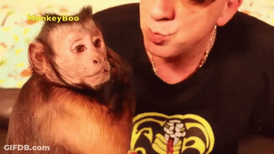 Human Giving Monkey Kiss On Lips GIF