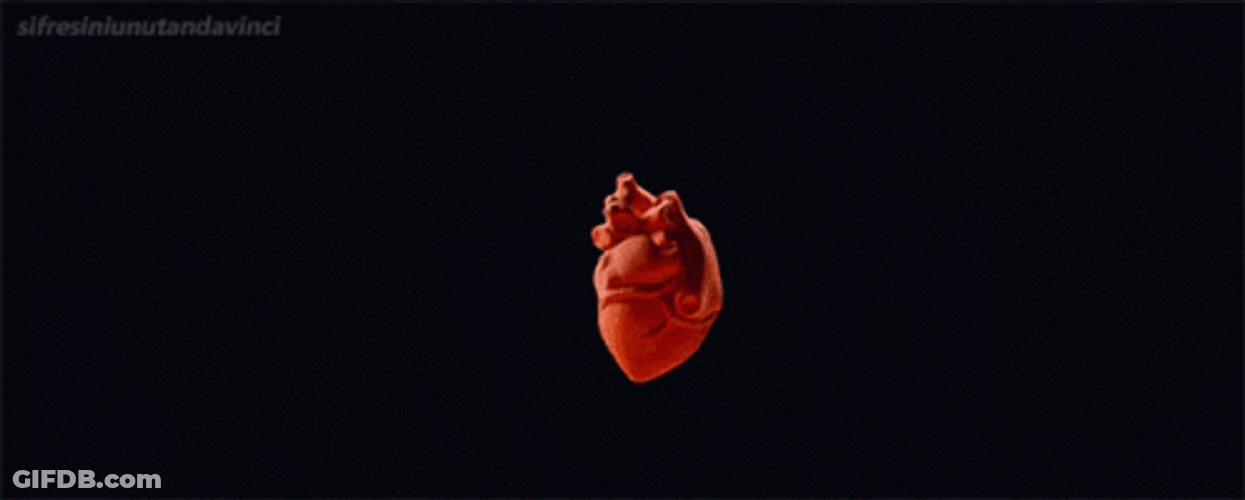 Human Heart Pulsating With Intense Bomb Explosion GIF