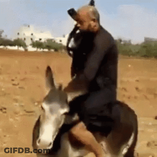 Human Riding On A Donkey GIF
