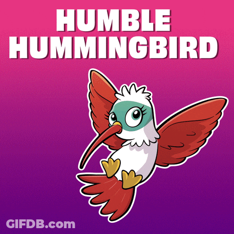 Humble Hummingbird Cartoon GIF