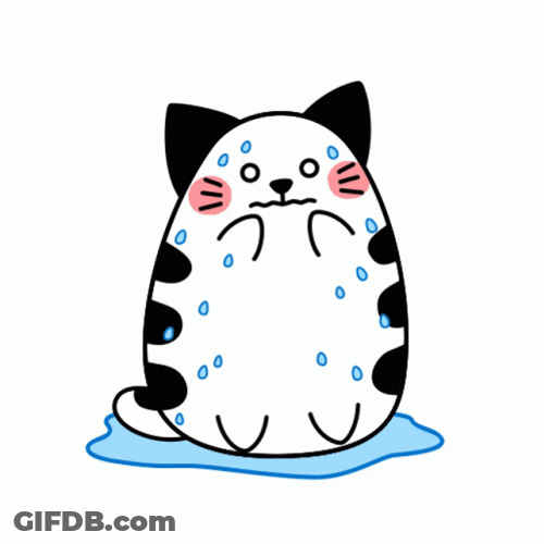 Humid Cat Sweating Too Much GIF
