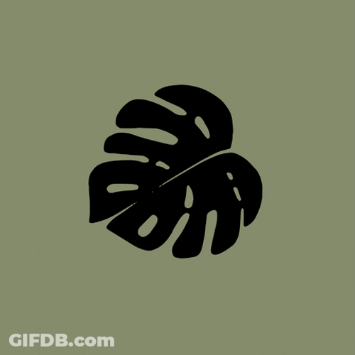 Humid Leaf Moist GIF