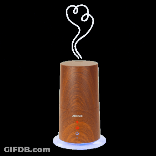 Humid Moist From Humidifier GIF