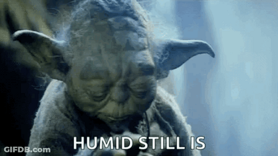 Humid Yoda Looking Up GIF