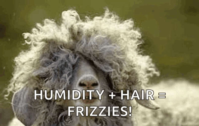 Humidity Plus Hair Equals Frizzies GIF
