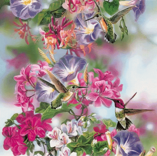 Hummingbird Animation With Beautiful Flowers GIF