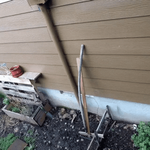 Hummingbird Appears In Camera GIF