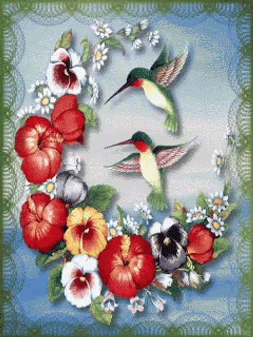Hummingbird Art Painting GIF