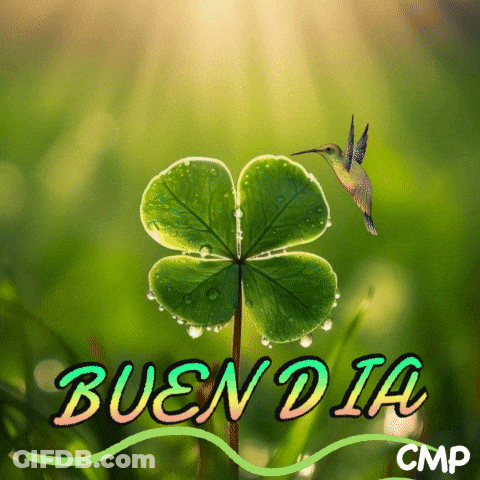 Hummingbird On Four Leaf Clover Bueno Dia GIF