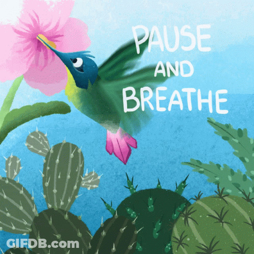 Hummingbird Pause And Breathe GIF
