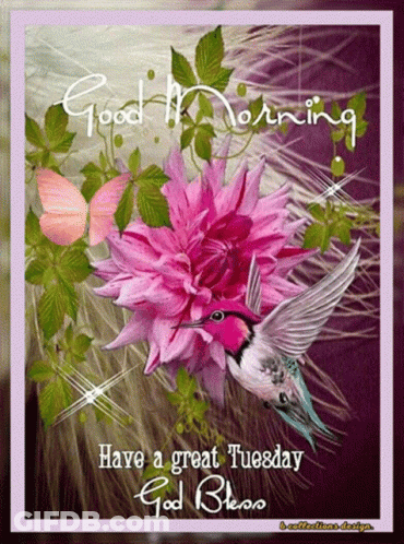 Hummingbird Pink Flower Good Morning Have Great Tuesday God Bless GIF