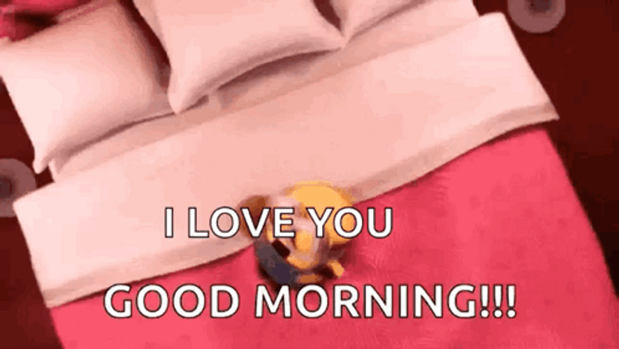 Humor Good Morning Tuesday I Love You GIF