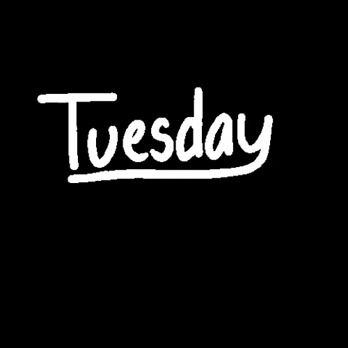 Humor Good Morning Tuesday Text Design GIF
