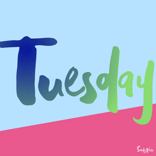 Humor Good Morning Tuesday Week GIF