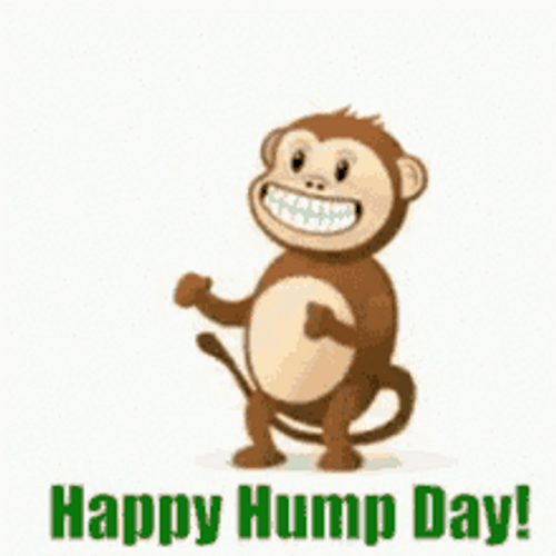 Hump Day Camel Dancing Monkey GIF