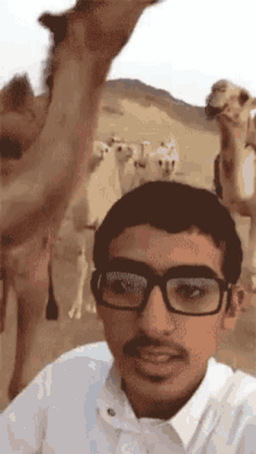 Hump Day Camel Poor Indian Guy GIF