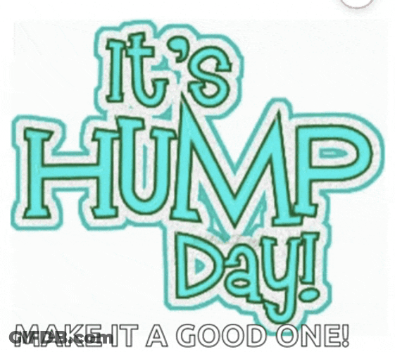 Hump Day Gif Funny Meme GIF