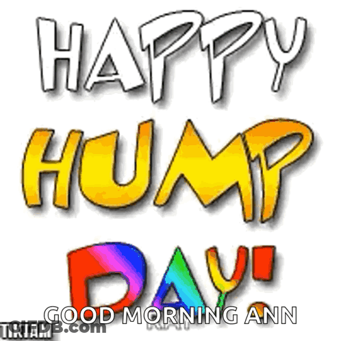 Hump Day Greeting Card With Rainbow GIF
