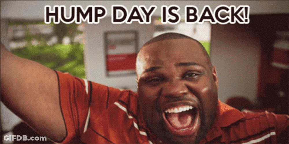 Hump Day It's Hilarious Wednesday GIF