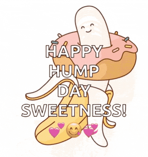 Hump Day Meme GIF