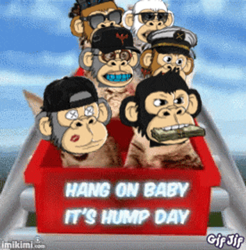 Hump Day Mma GIF