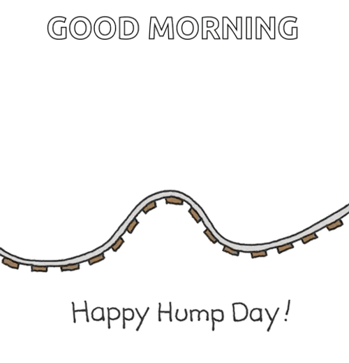 Hump Day Wednesday Bunny Riding On Rollercoaster GIF