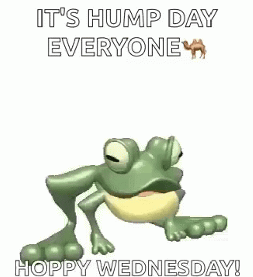 Hump Day Wednesday Happy Jumping Frog GIF
